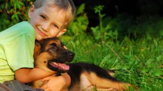 Ein Hund trotz Tierhaarallergie