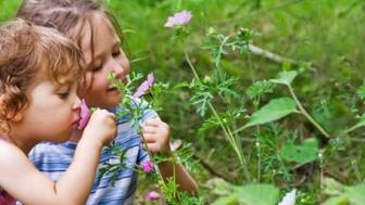 Pollenallergie: Hyposensibilisierung sollte im Herbst beginnen