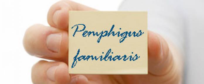 Pemphigus familiaris