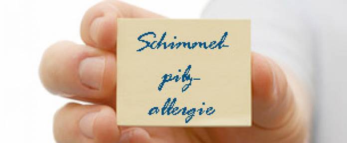 Schimmelpilzallergie