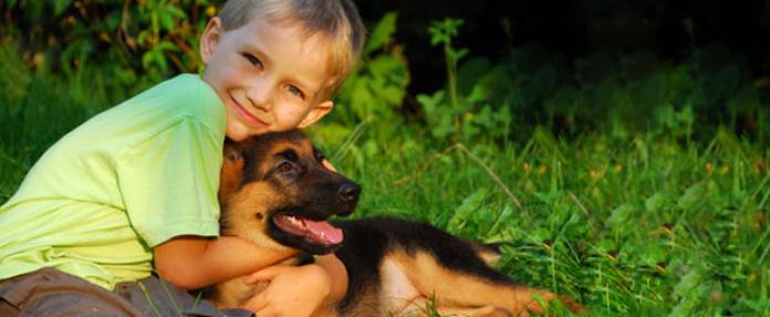 Ein Hund trotz Tierhaarallergie