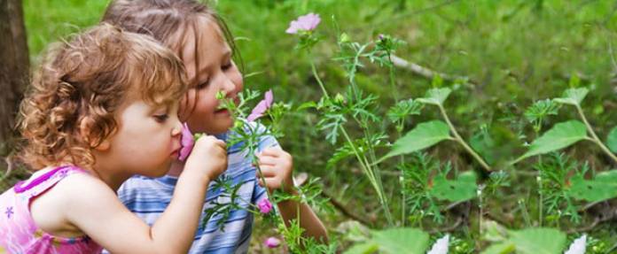 Pollenallergie: Hyposensibilisierung sollte im Herbst beginnen